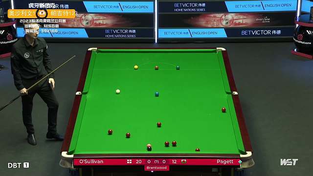 的内线帮手 的内线帮手