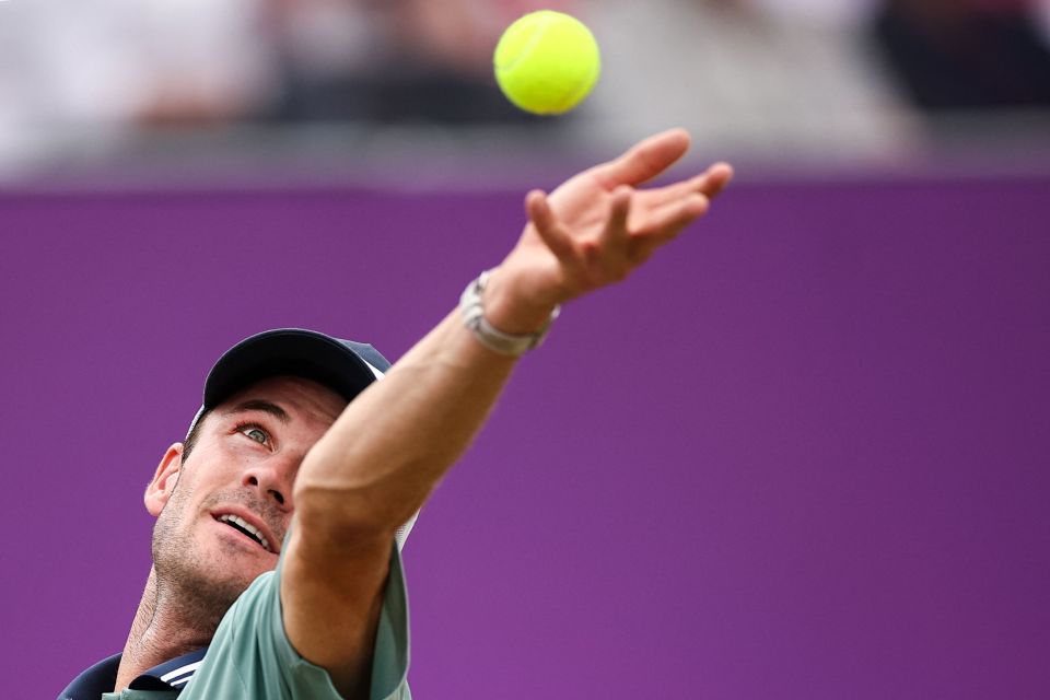 但近年来整 但近年来整