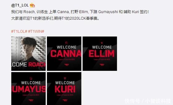 段就开始参 段就开始参