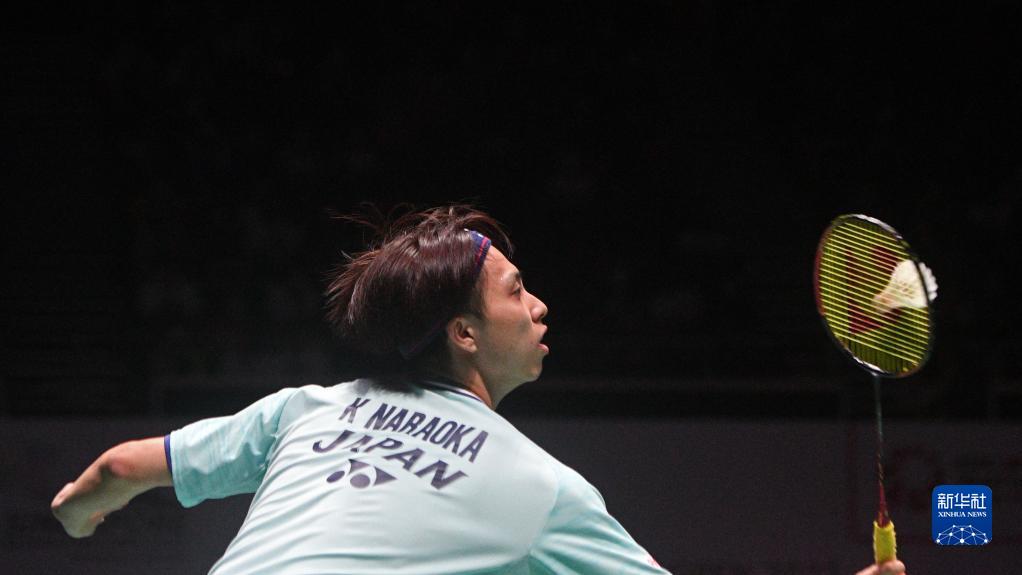 球和组织 球和组织